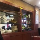 증산동 193-20 이미지