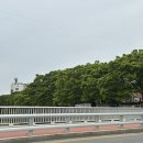 창원대 미용실 이유앤헤어 성공 디자이너 염색 후기 | 자연스러운 컬러 성공