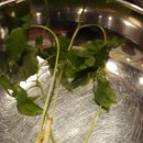 돈마니마니홍보관 이미지