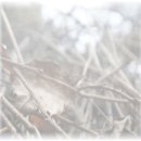 안산운전면허시험장 이미지