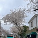 대륜세탁소 이미지