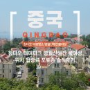 칭다오 명월산해간불야성 후기 갈?말?(입장권 가격, 택시비, 소요시간, 인어쇼, 왕홍체험)