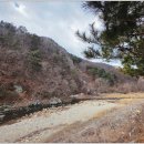 양평 애화몽 워크샵 단체 수영장 펜션 이미지