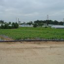 목화농원 이미지