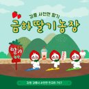 금하딸기체험농장 네이버블로그