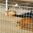 보리카라반 3시간바베큐 캠핑장 | 울진 카라반 글램핑 숙소 추천 올덴리조트 미친 오션뷰 매점 바베큐까지