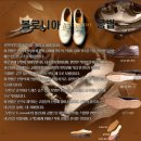 볼로니아 이미지