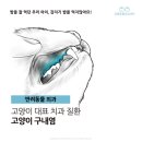 금릉동물의료센터 이미지