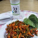 시례 주연 한우농장 | 소원이이루어지는 신비의 소나무,소원이이루어지는 곳,군위가볼만한곳,인각사일연스님🙏🏻🙏🏻🙏🏻