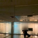 라인핫요가 - 고양시 덕양구 푸른마을로 6 | 대전 둔산동요가 윙스핫요가에서 한 달 운동후기