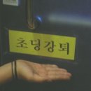 버디버디A 이미지