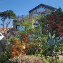 할망꽃쉼팡 민박 이미지