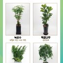 엣지하우스 이미지