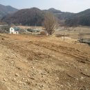 용문 조현초등학교 학군내 정남향토지매매- 대지100평 매가1억 이미지