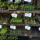 흥농종묘사 이미지