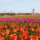 몽산농장 이미지