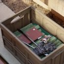 일월일지 이미지