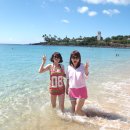 비치파크 이미지