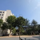 유림-26 | 대전 라이딩 : 2025. 10. 26(일) 지인들과 함께 대전천 → 유림공원 국화축제 자전거 라이딩