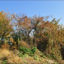 꽃향기머무는집 이미지