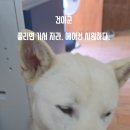 건이