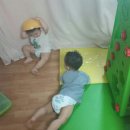 청소쟁이 이미지