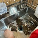 온쉼표 | 강화도 연말모임하기 좋은 펜션 추천 ‘온쉼표’ 202호 후기