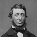 소로3-100 이미지