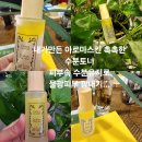 공주피부