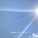 한국체대 복싱 이미지