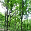 청룡체육관 이미지