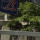 비진도시원한민박 이미지