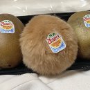 선녀와나무꾼 이미지