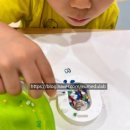 바다를 담은 석고방향제 이미지