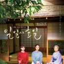 일일시호일 티스토리