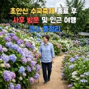 초안산 수국축제 종료 후 사후 방문 및 인근 여행 코스 총정리