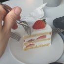 하도대4길 01-R1 | 2023 가짜눈모임 첫 정기회 in Seoul 🌆 Day 2