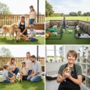 강아지분양 고양이분양 헬로브리더 | 브리더분양, 펫샵과 비교불가! 3개월 발품 팔아 알아낸 모든 것