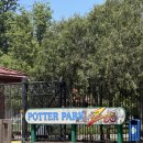 Red Fox | [Lansing] 정말 알찼던 랜싱 포터 파크 동물원(Potter Park Zoo) 후기 (feat. 주토피아2)