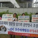 멍멍멍 이미지