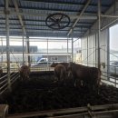 농업회사법인 (주)바이오플러스 이미지