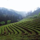 회천생태공원 야구장 이미지