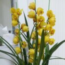 신호1길 1, (교현동) 이미지