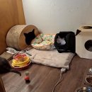 묘한호텔 이미지