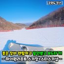 하이원카서비스 | 하이원리조트 스키장 렌탈 스타스키샵에서 할인받고 간 내돈내산 후기!