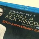 갤러리안경 이미지