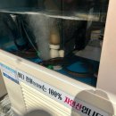 황새알로 이미지