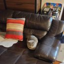 신복헬스 | 날랜 고양이 되기 프로젝트 1장. 폴인을 만나다