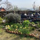 하얀고래 in 백야 | [공지] [펜션] 여수여행 "하얀고래 in 백야" 추천