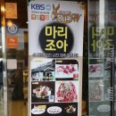[제주도] 제주 말고기 맛집 "마리조아 본점"